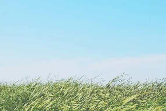 Casino Ted Bingo Ondersteuning